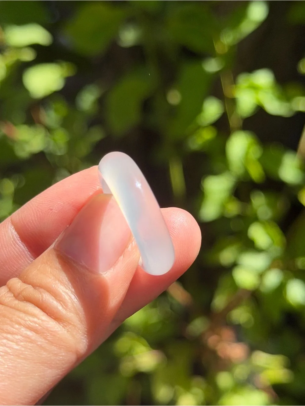 N/A elegant translucent